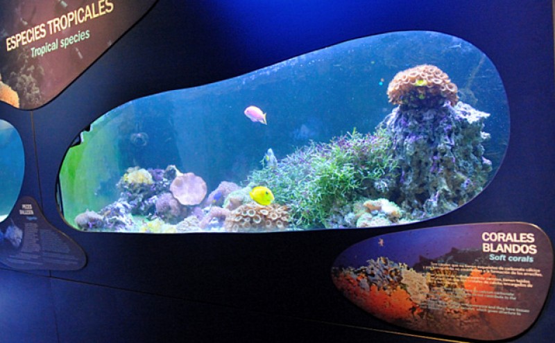 Opening times of museums and places of interest in Águilas
