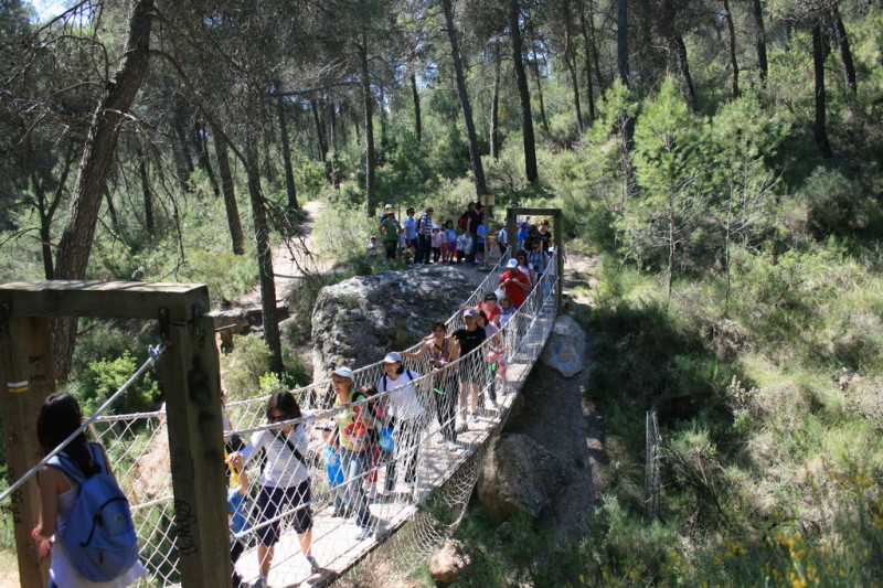 7th to 13th January What's on in Alhama de Murcia
