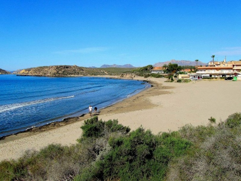 <span style='color:#780948'>ARCHIVED</span> - 17th March 4km FREE guided walk along four wild beaches in the 脕guilas municipality