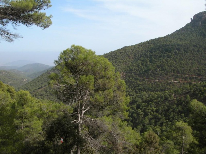 11th to 17th March What's on in Alhama de Murcia