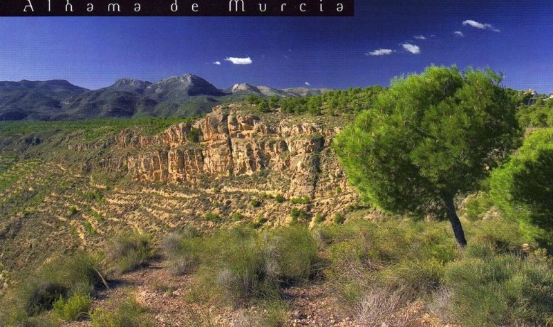 <span style='color:#780948'>ARCHIVED</span> - 20th to 26th May Alhama de Murcia What's on programme