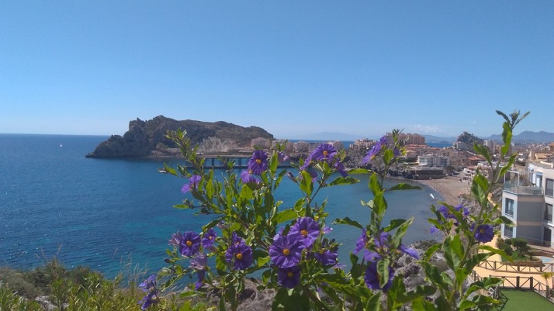 <span style='color:#780948'>ARCHIVED</span> - What's on in Águilas during July