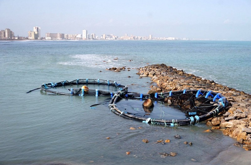 <span style='color:#780948'>ARCHIVED</span> - Fish farm enclosure washed up on the beach in Cabo de Palos
