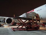 20 tons of emergency medical equipment arrives from China