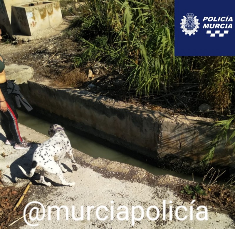 <span style='color:#780948'>ARCHIVED</span> - Woman almost drowned saving her dog from irrigation channel in Murcia