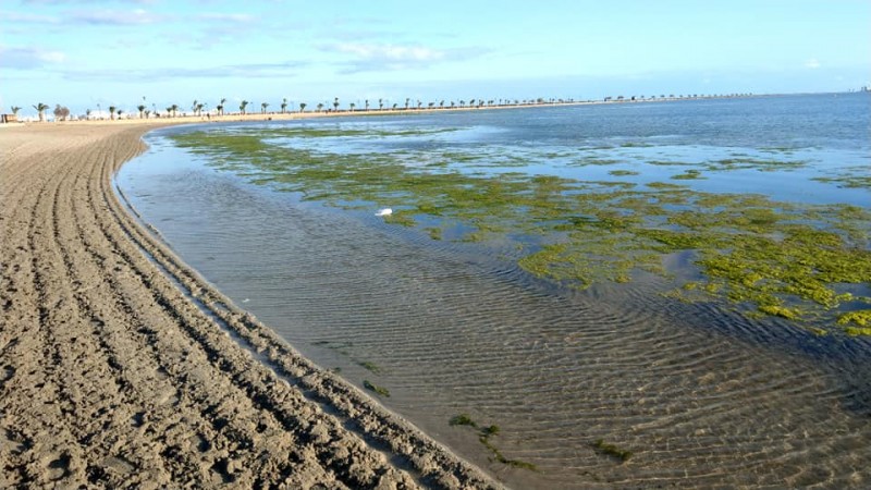 <span style='color:#780948'>ARCHIVED</span> - 49 agriculturalists to be investigated individually for illegal use of water relating to Mar Menor deterioration