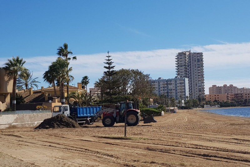 <span style='color:#780948'>ARCHIVED</span> - Cartagena council ramps up Mar Menor beach cleaning following strong winds of last week