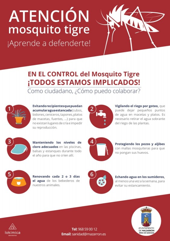 <span style='color:#780948'>ARCHIVED</span> - Regional surveillance program finds no tiger mosquitos in Mazarrón