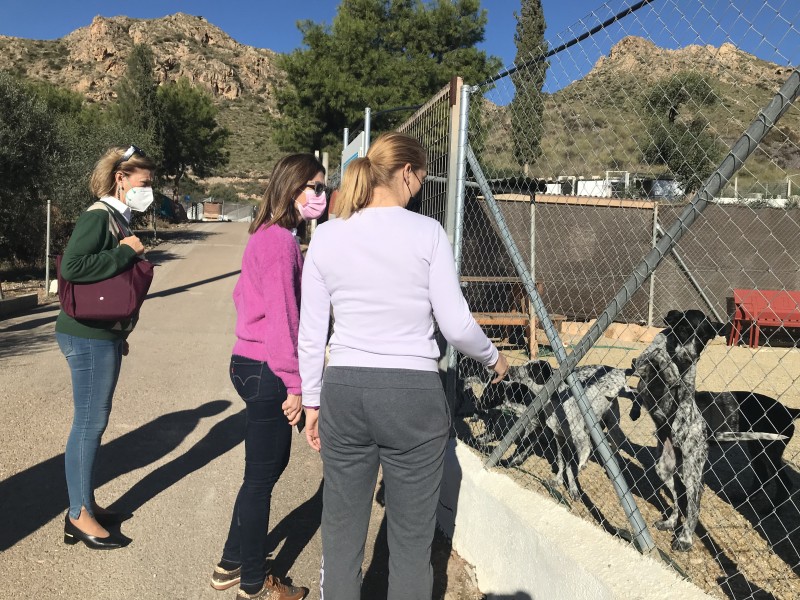 <span style='color:#780948'>ARCHIVED</span> - Aguilas animal refuge increases adoptions this year