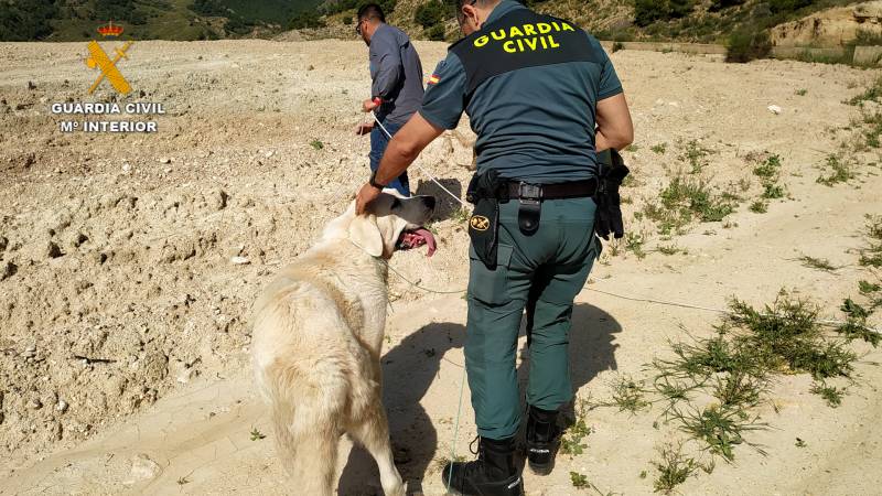 <span style='color:#780948'>ARCHIVED</span> - Two exhausted dogs saved from drowning in dramatic police rescue in Totana