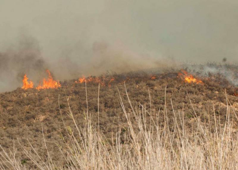 <span style='color:#780948'>ARCHIVED</span> - 81-year-old dies in Calasparra after his bonfire burns out of control