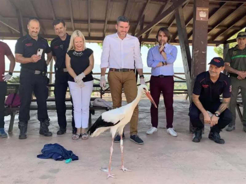 <span style='color:#780948'>ARCHIVED</span> - Born to be wild: Murcia rehabilitates and releases 500 rescue animals