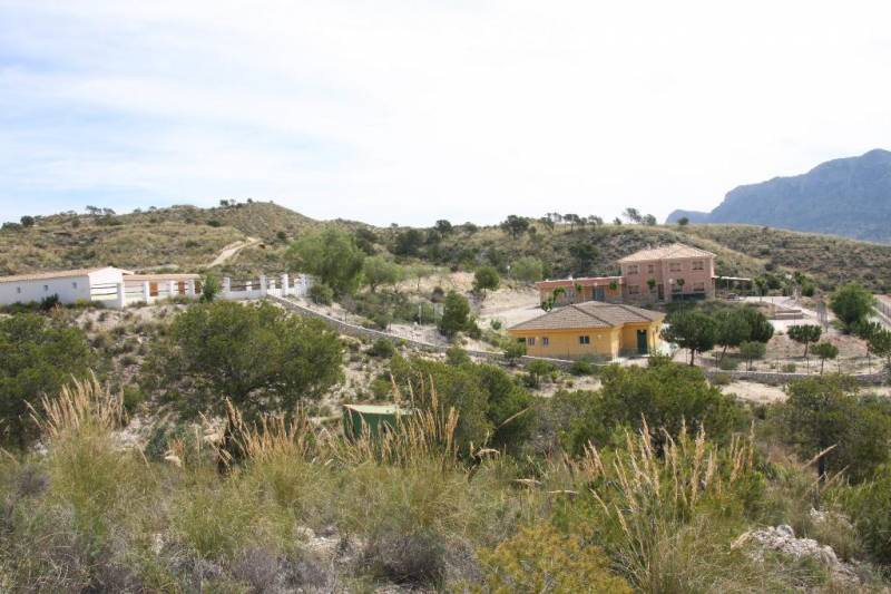 <span style='color:#780948'>ARCHIVED</span> - November 13 Free open morning at the Alto del Rellano ecology park in the countryside of central Murcia