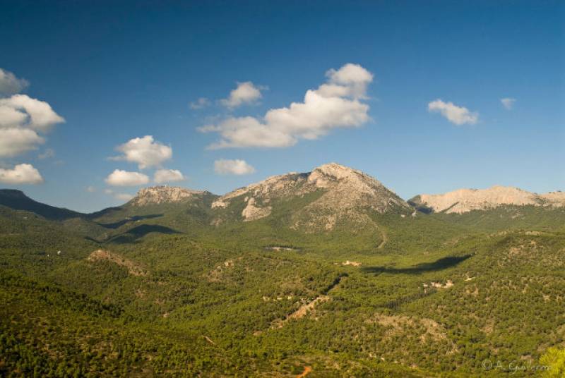 Sierra Espuña, a Mecca for nature enthusiasts, adventure sports and relaxation!