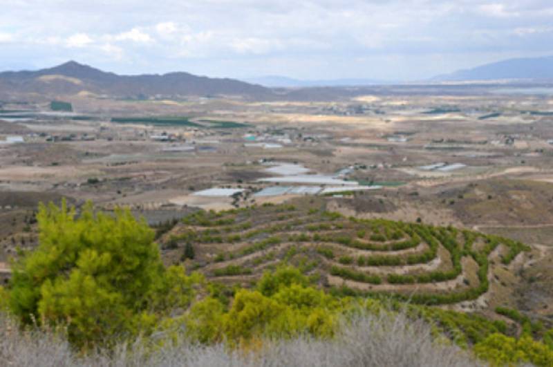 <span style='color:#780948'>ARCHIVED</span> - November 27 Free guided hike in La Atalaya and Coto Fortuna in the countryside of Mazarron