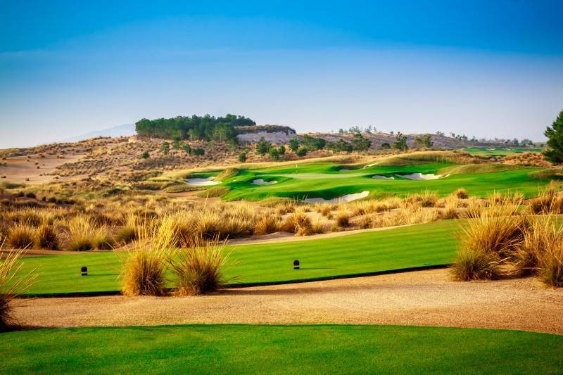 <span style='color:#780948'>ARCHIVED</span> - Condado Golf Course SOLD