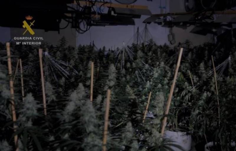 <span style='color:#780948'>ARCHIVED</span> - Sophisticated marijuana gang busted in Alicante and Murcia