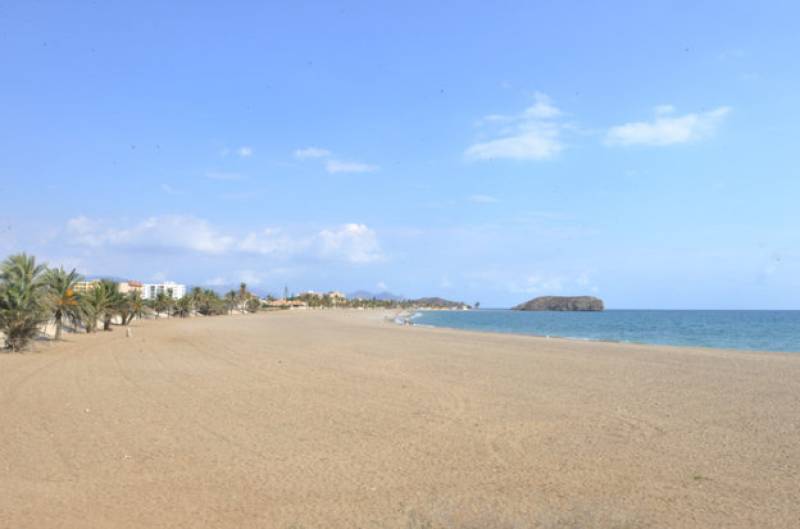 8 dog-friendly beaches in the Region of Murcia