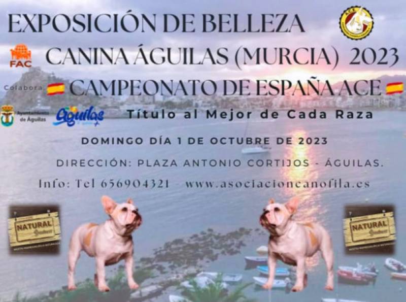 October 1 Dog show and competition in Aguilas