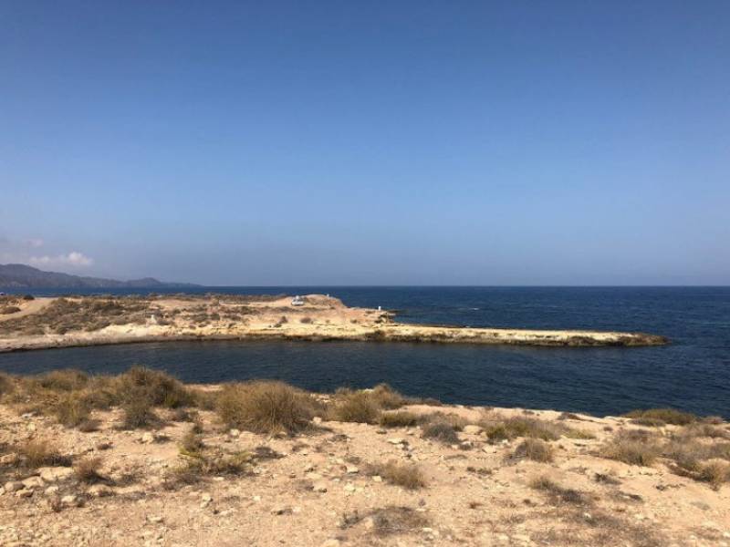 January 21 Free Marina de Cope walking tour on the coast of Aguilas