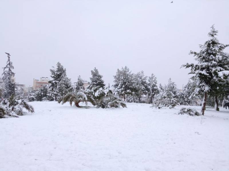 Wind, rain and snow give way to sun: Murcia weekly weather forecast February 26-March 3