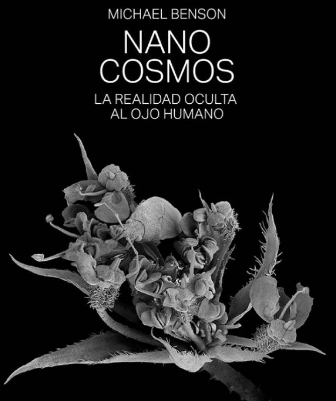 Until July 17 Nanocosmos open-air exhibition in Caravaca de la Cruz