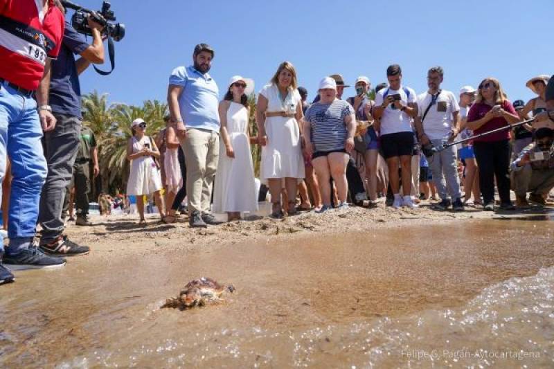 30 protected loggerhead turtles released in Isla Plana