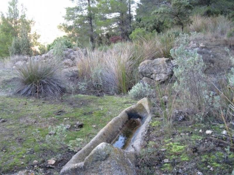 Hiking in the Sierra de las Pansas in Yecla