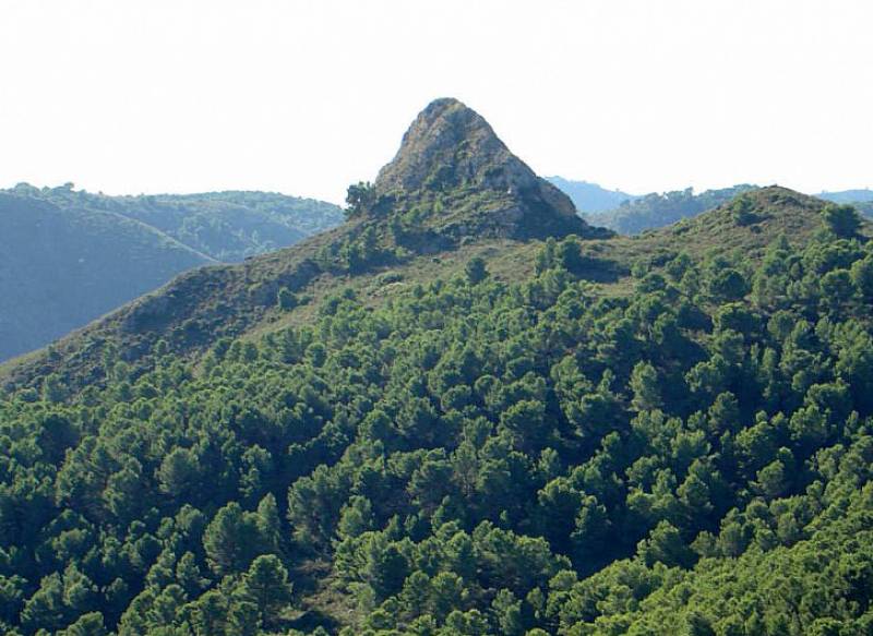 October 22 Free guided night hike on the Talayón Costa Cálida Región de Murcia