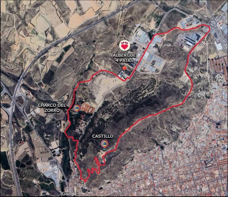 May 18 Jumilla charity dog walk: Take a walk, change a life!