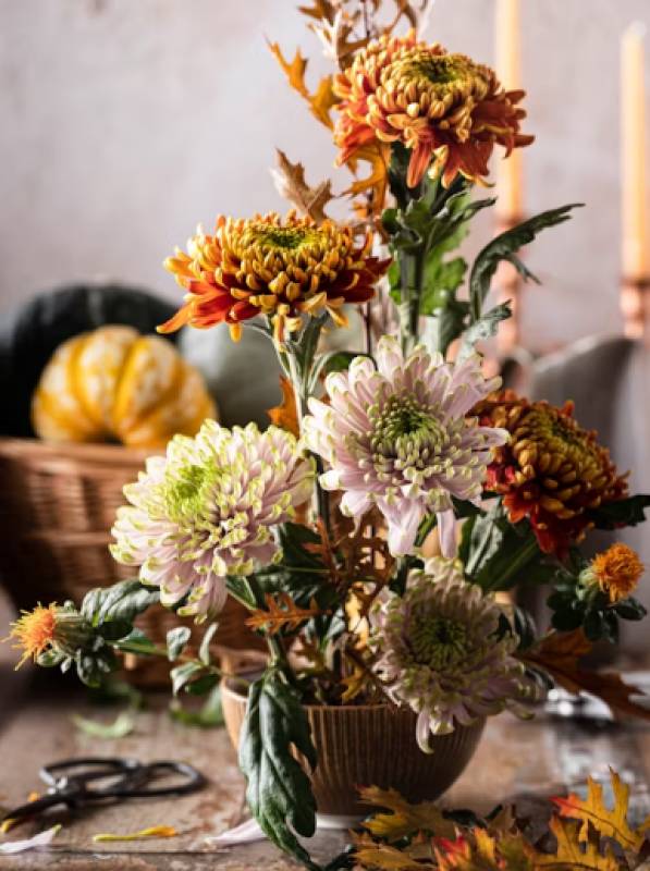 Autumn blooms and warm scents at Garden Boutique florists, Mazarrón