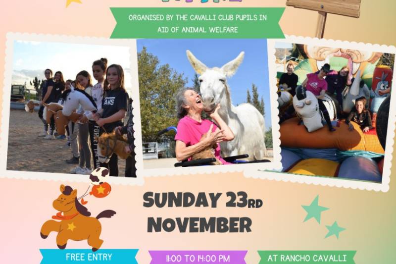 November 23 Fundraising Fayre for horse charity in Alhama de Murcia village of Los Muñoces