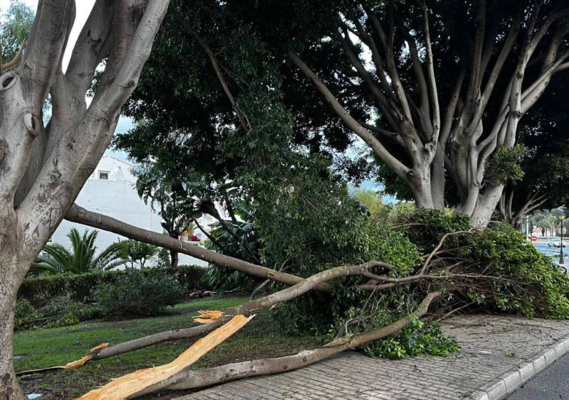 Watch! Storm Emilia leaves Málaga hardest hit as Andalucía moves to pre-emergency phase