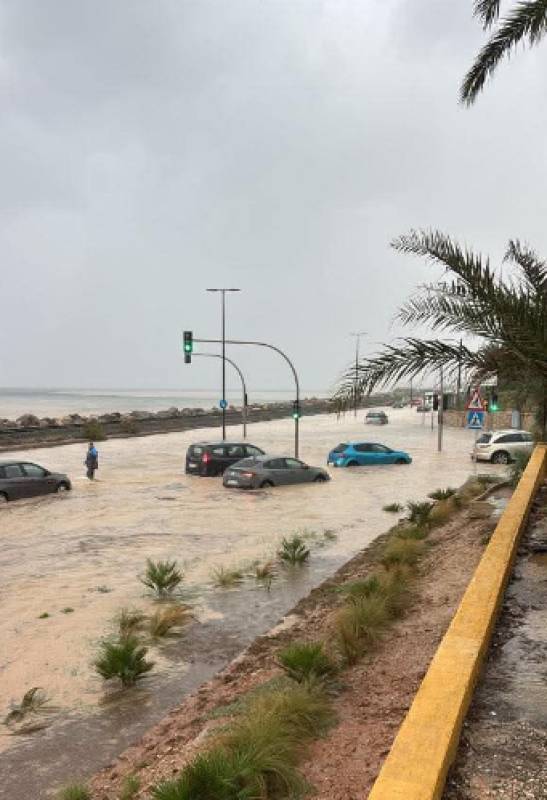 Spanish News Today Editors Roundup Weekly Bulletin Dec 26