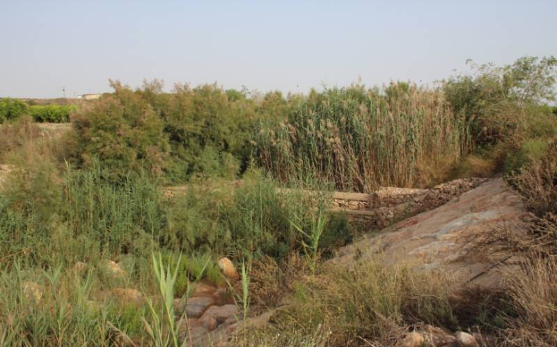 San Javier moves ahead with plans for new floodable park