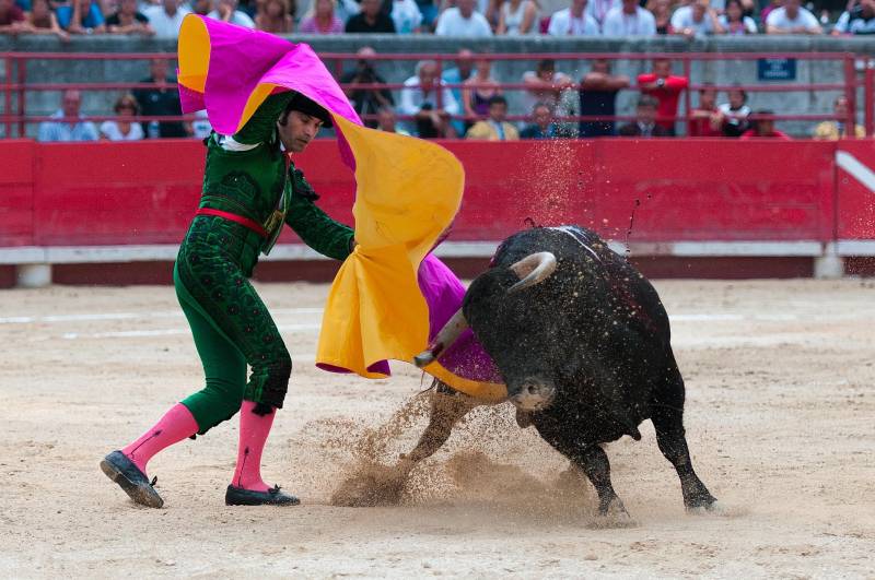 Spain considers a ban on children at bullfights as debate over tradition heats up