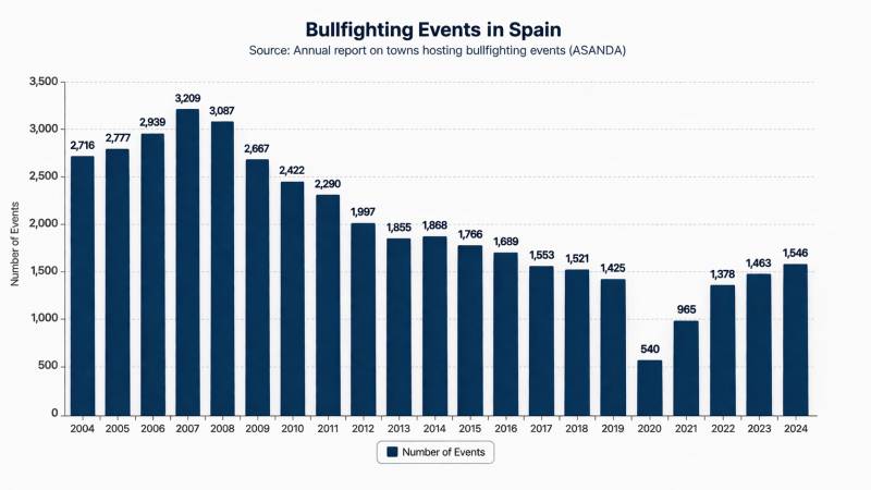 Bullfighting crowds fall sharply despite funding and pockets of renewed interest