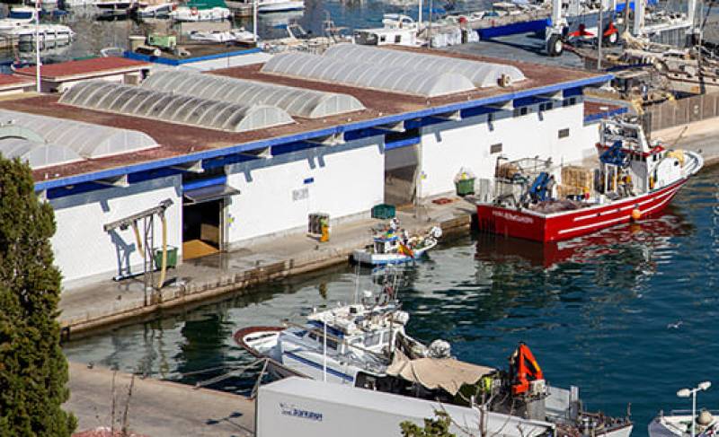 July 13 Free tour of the fish market at the port in Puerto de Mazarrón