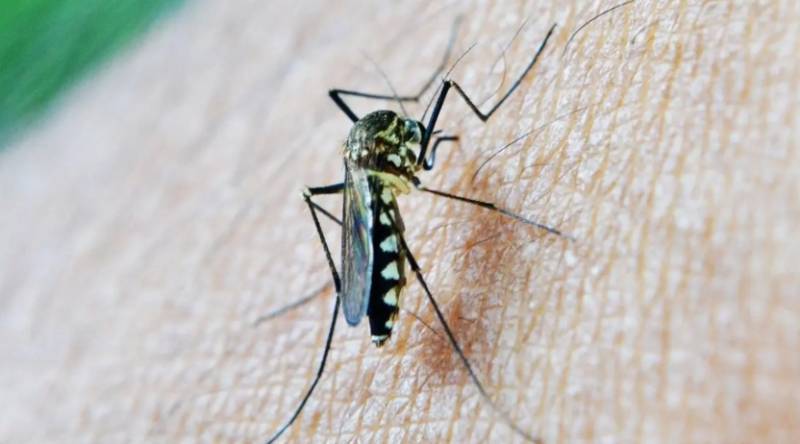 Andalucia records its first West Nile virus death of the year