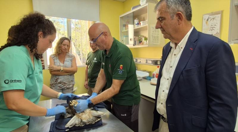 More than 4,000 wild animals received help at El Valle Wildlife Recovery Centre last year