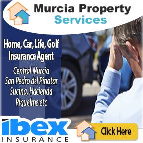 Murcia Property Services Ibex Agents